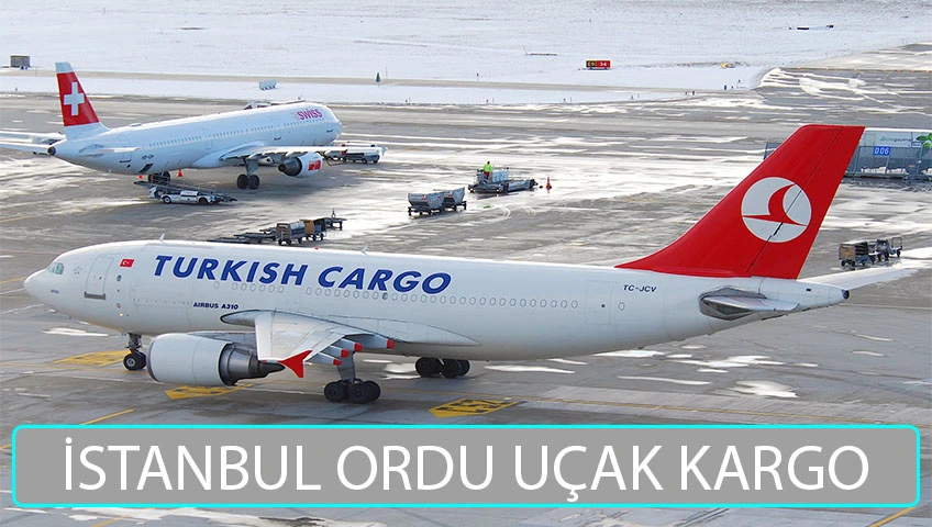 İstanbul Ordu uçak kargo