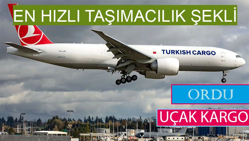 Ordu uçak kargo